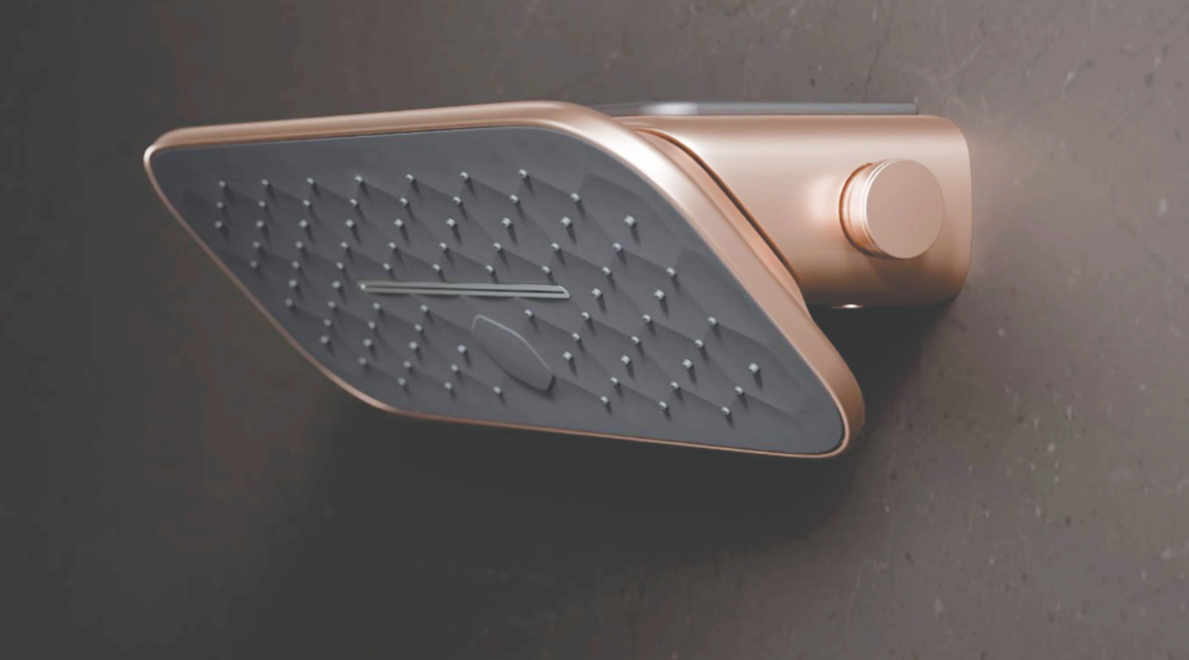 Radiance Shoulder Shower by Kohler