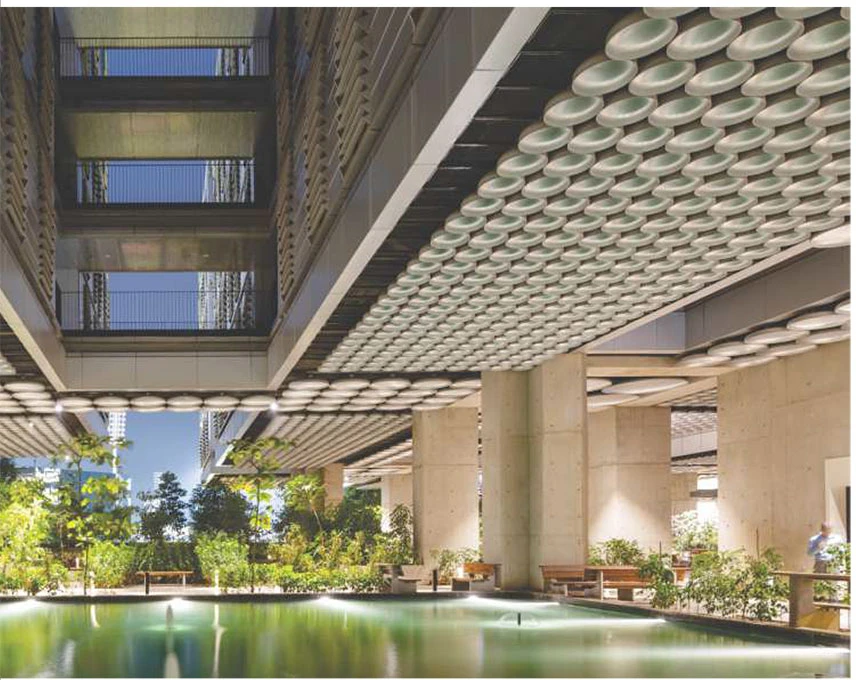 DY Patil University  Centre of Excellence Navi Mumbai