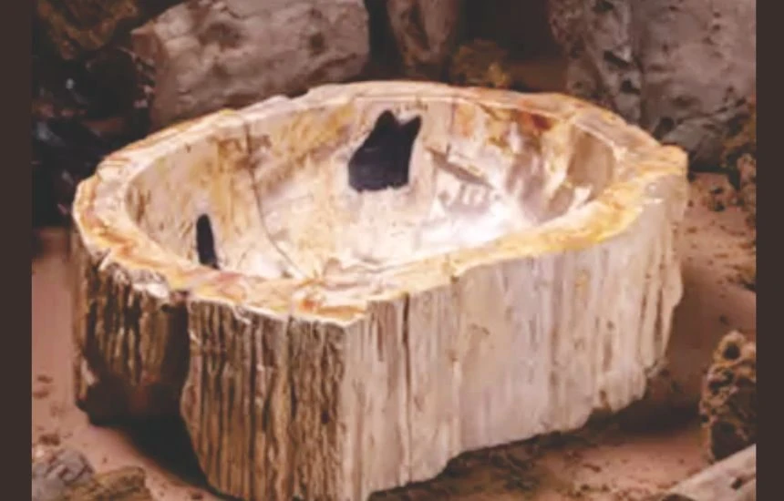 Sustainable Elegance: Petrified Wood Washbasins by Stone Art