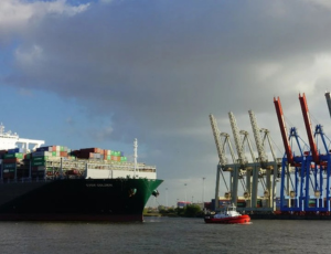 Trade slowdown pressures shippers, while biotech surges on global partnership.