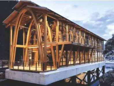 Mass Timber: A Solution for Climate Action in the Built Environment