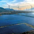 Govt Plans Dedicated Policy to Boost Floating Solar Projects: MNRE Secretary