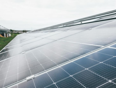 India Blocks China’s WTO Panel Request Over Solar and IT Trade Measures