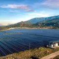 Government May Grant Limited Relief to Renewable Projects on ALMM Compliance