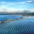 Subsidies, Awareness Drives and Digital Tools Accelerate Solar Uptake, Says Tata Power-DDL